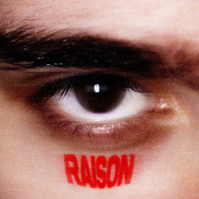 Pochette de RAISON